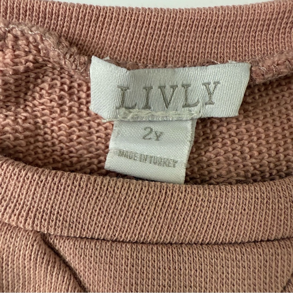 LIVLY Big Sister Blush Pink Sweater Girls Size 2 - Picture 2 of 5